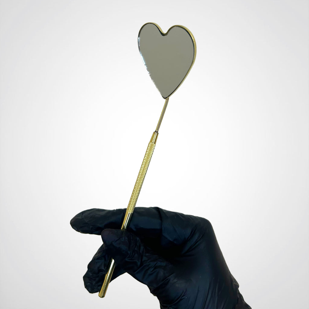 Handheld Heart Mirror
